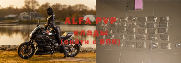 твердый Инта