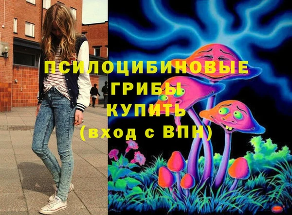герыч Протвино