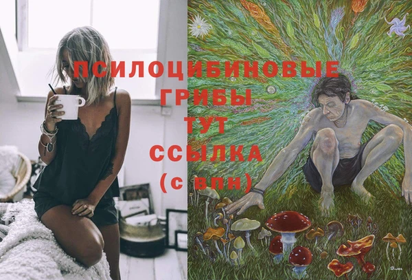 альфа пвп Пролетарск