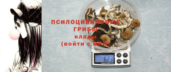 герыч Протвино
