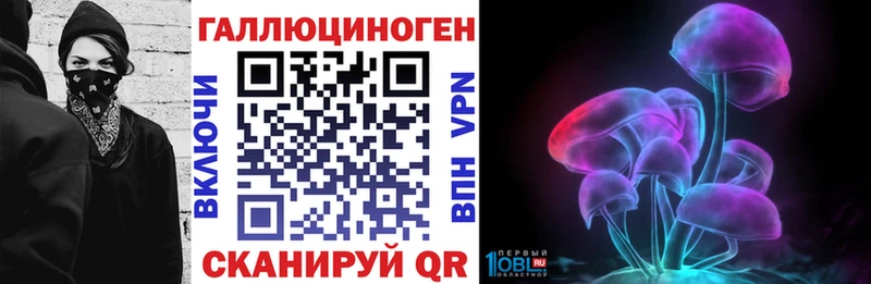 Псилоцибиновые грибы Psilocybe  Абдулино 